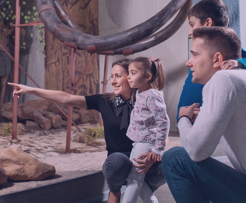 museum people counting - family in museum