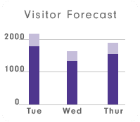 amusement park technology predicting visitor count