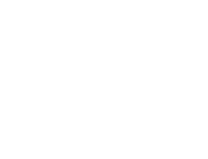 texas A&M logo white